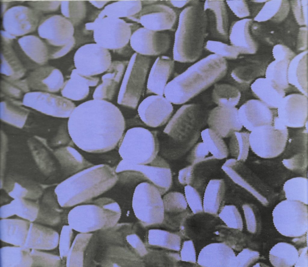 Fig Trees Album Cover